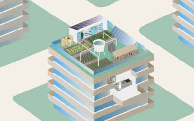 Rooftop Ecosystems